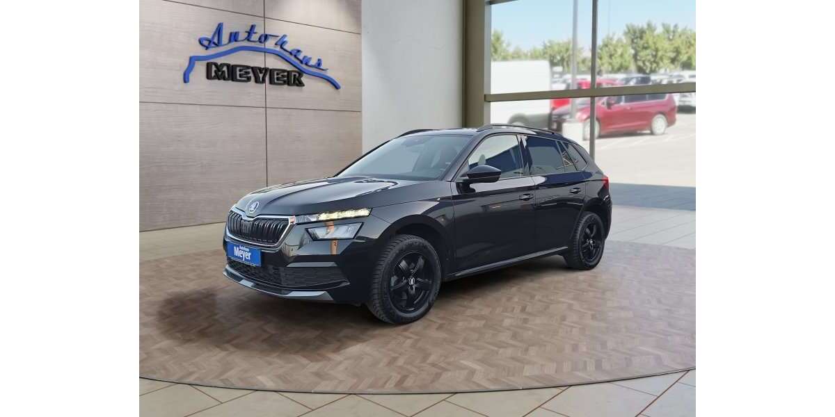 Skoda Kamiq 107.000 km 17.910 &euro; Hohenwarsleben 39326