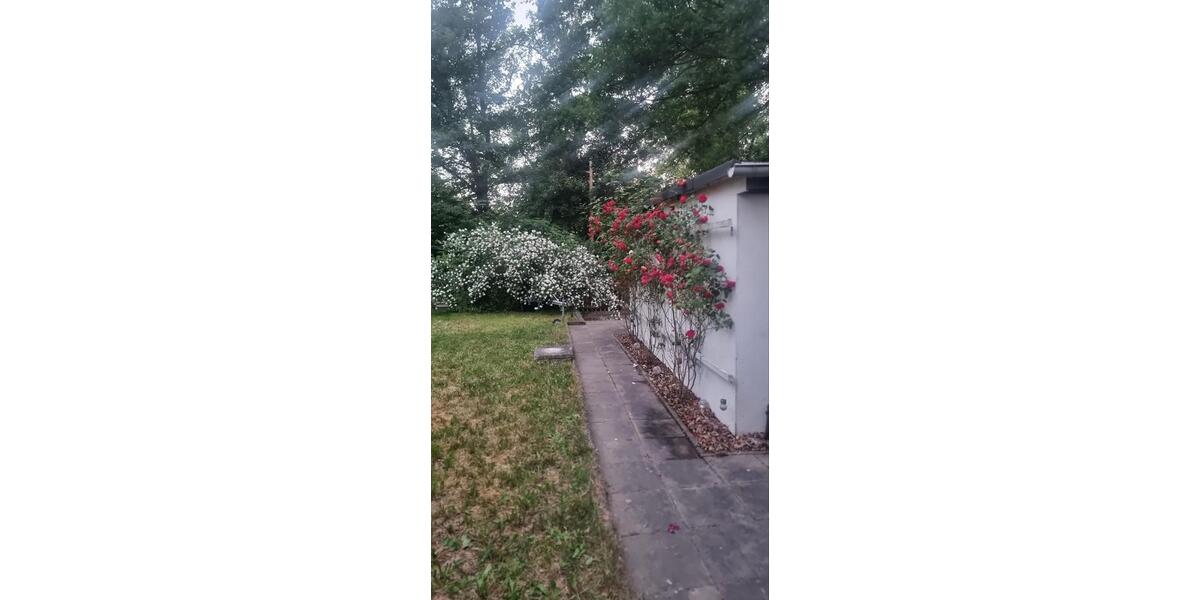 Bungalow Schönebeck (Elbe) - 2 Zimmer, 43 m&sup2;, 62.000&euro; | Angebot:26072429