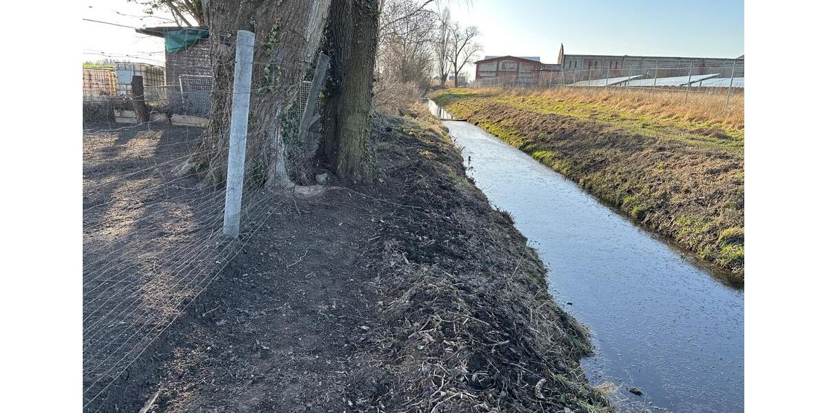 Grundstück Burg - 13.650&euro; | Angebot:25300591