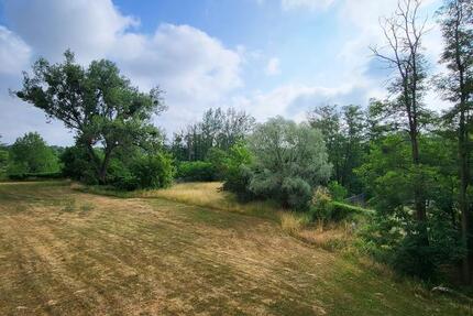 Wohnung Magdeburg Brückfeld - 4 Zimmer, 67 m&sup2;, 580&euro; | Angebot:24785383