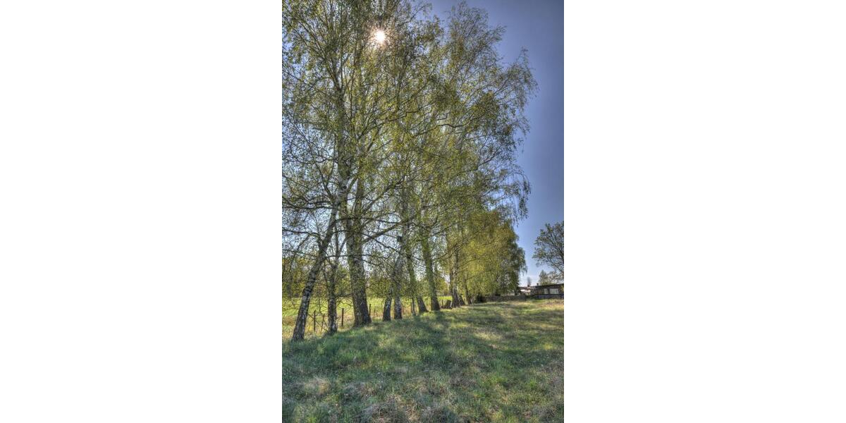 Mehrfamilienhaus, Wohnhaus Burg - 49.000&euro; | Angebot:26818529