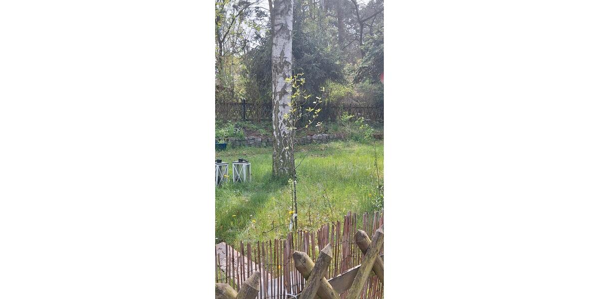Bungalow Schönebeck (Elbe) Pretzien - 2 Zimmer, 35 m&sup2;, 42.000&euro; | Angebot:26427211