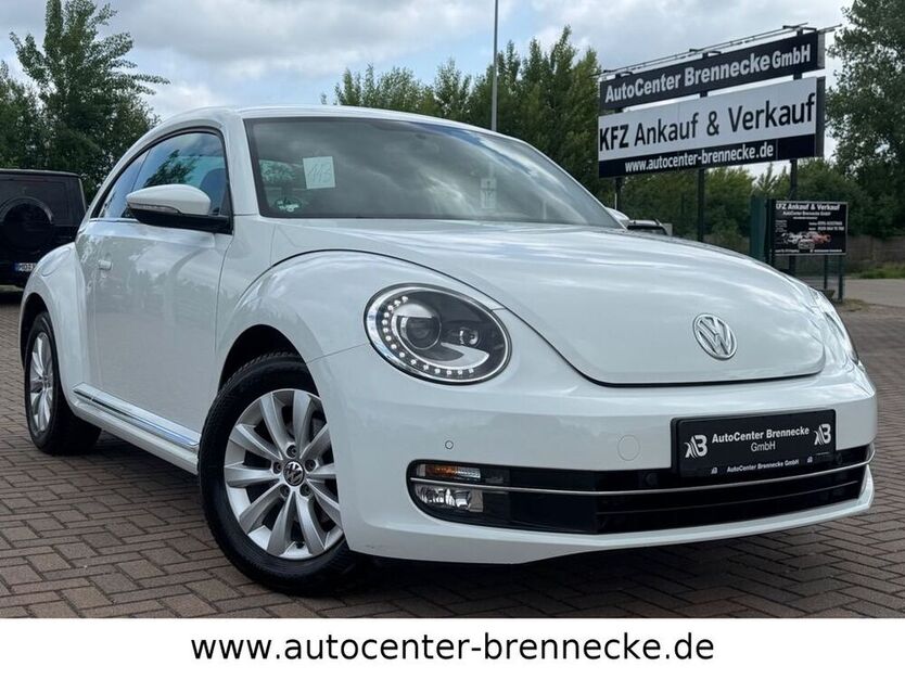 Beetle