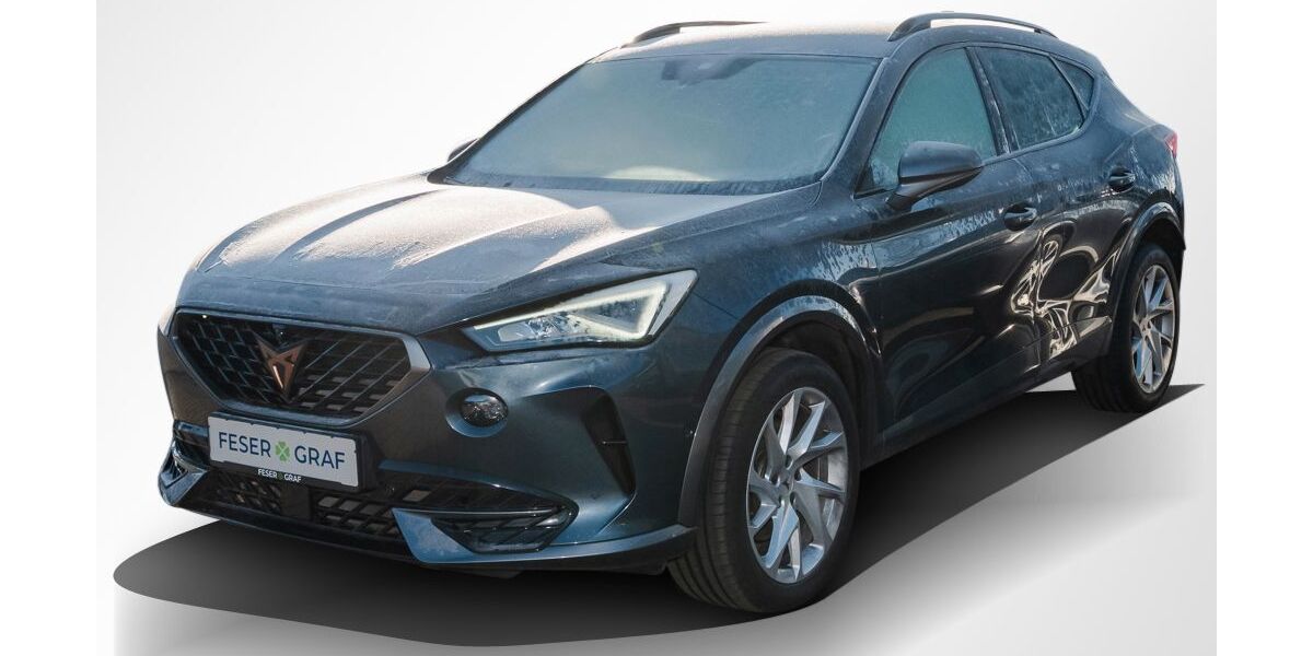 Cupra Formentor 46.733 km 27.980 &euro; Magdeburg 39118