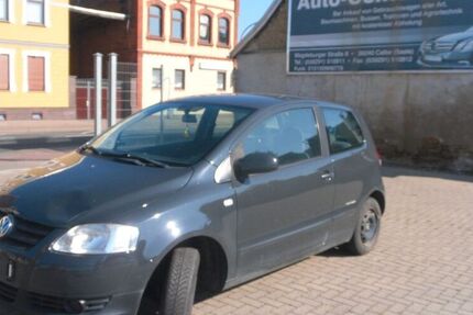 VW Fox