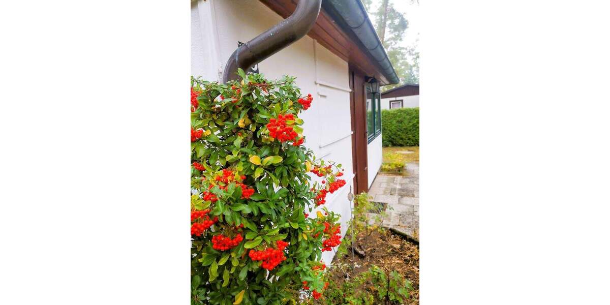 Bungalow Gommern Pretzien - 1 Zimmer, 25 m&sup2;, 22.000&euro; | Angebot:26779829