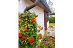 Bungalow Gommern Pretzien - 1 Zimmer, 25 m&sup2;, 22.000&euro; | Angebot:26779829