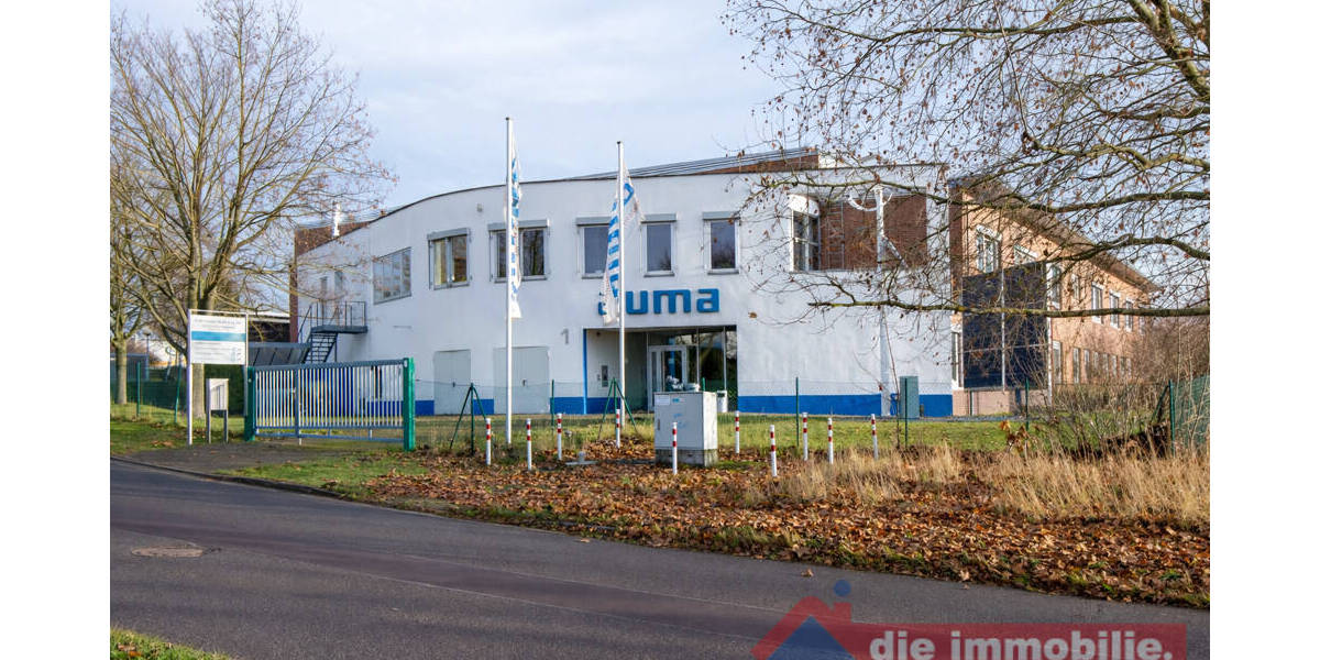 Gewerbeobjekt Niederndodeleben Niederndodeleben - 1.350.000&euro; | Angebot:26129480