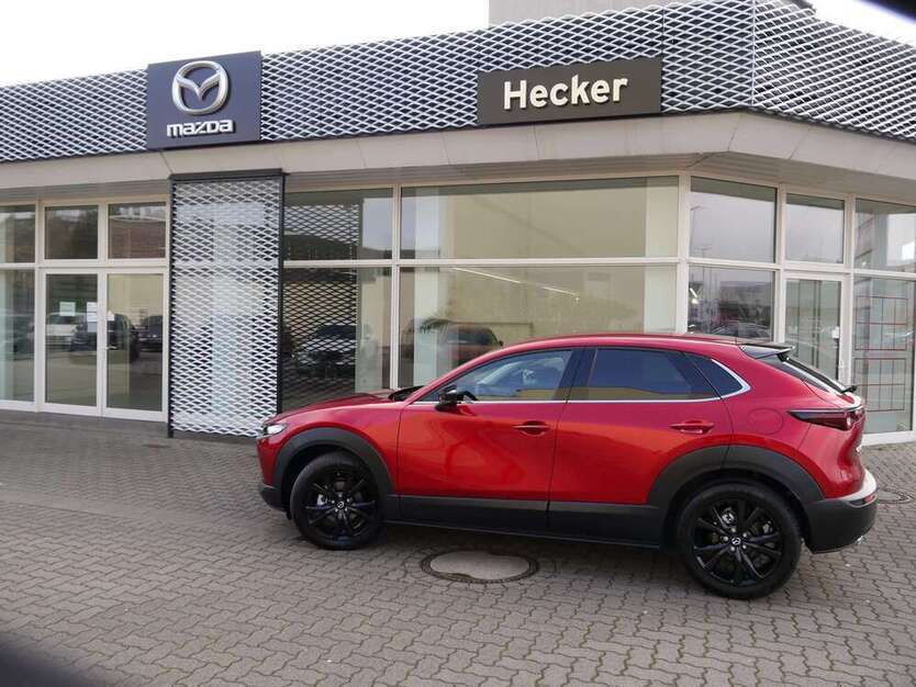 CX-30