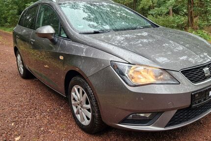 Seat Ibiza 134.000 km 4.990 € Theeßen 39291