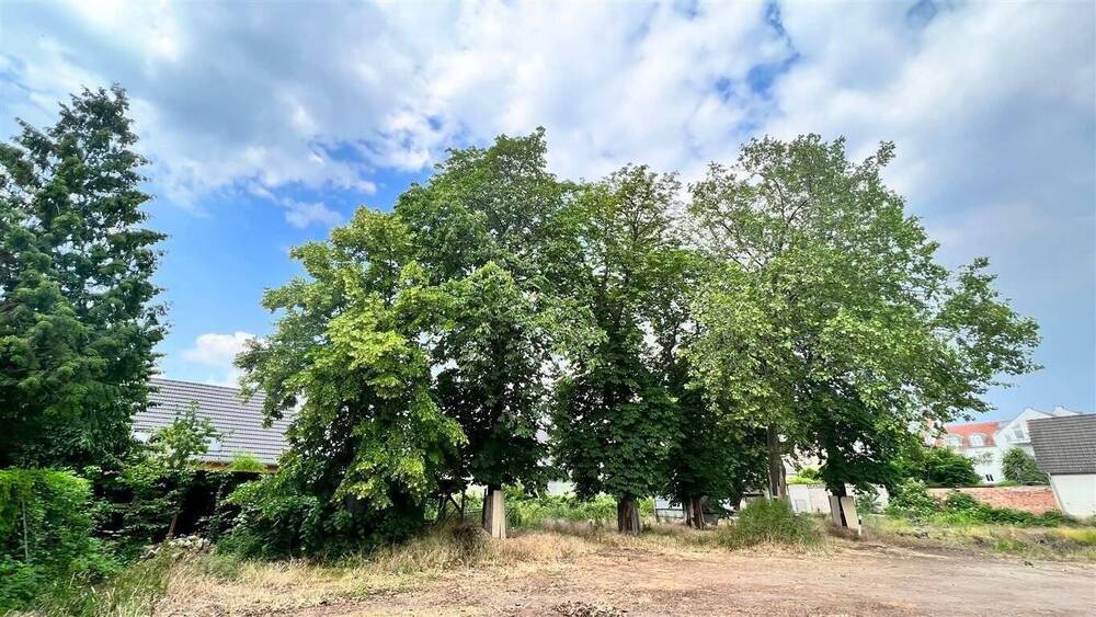 Grundstück Magdeburg Cracau - 550.000&euro; | Angebot:19290035