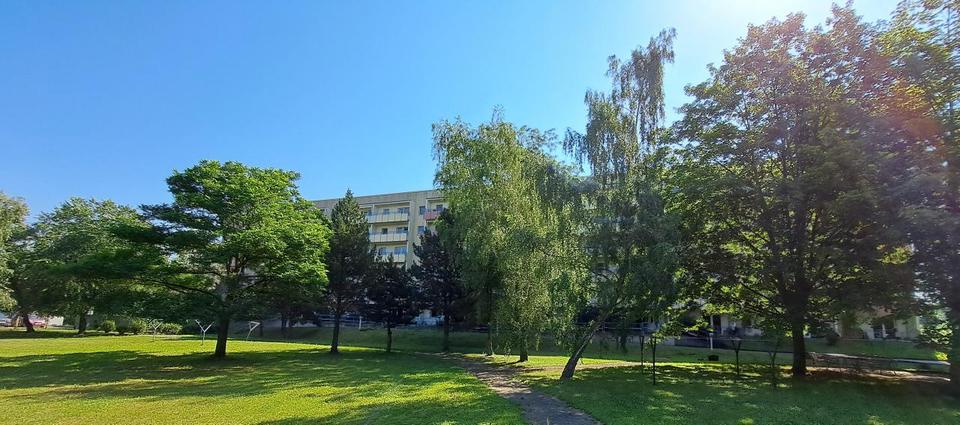 Etagenwohnung Magdeburg Großer Silberberg - 1 Zimmer, 36 m&sup2;, 216&euro; | Angebot:24766017