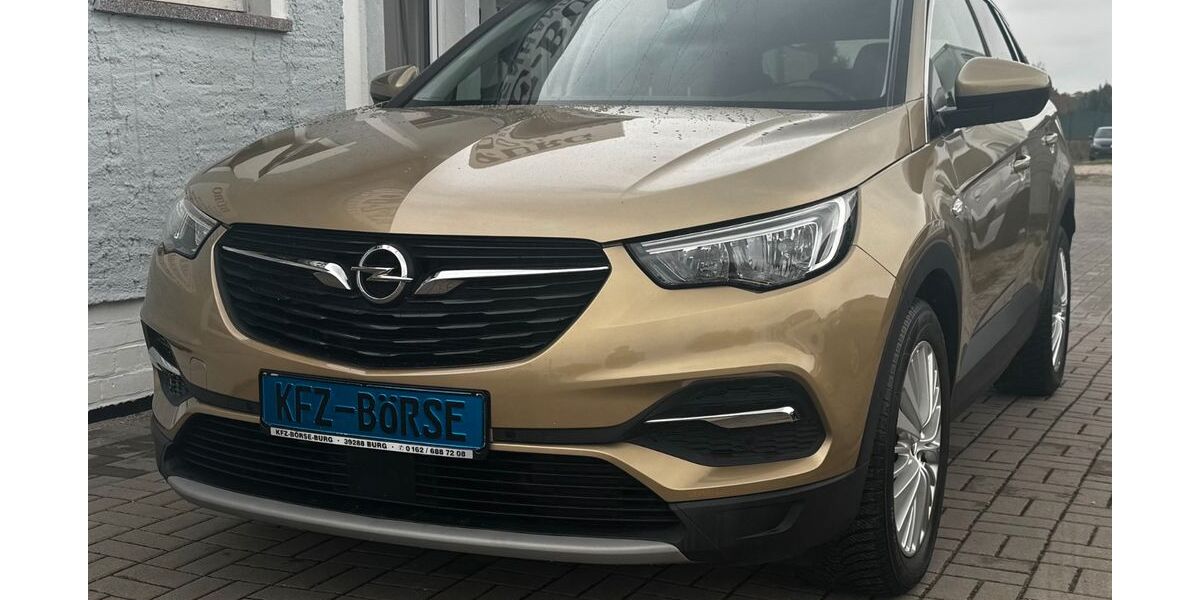 Opel Grandland (X) 86.000 km 14.900 &euro; Burg 39288