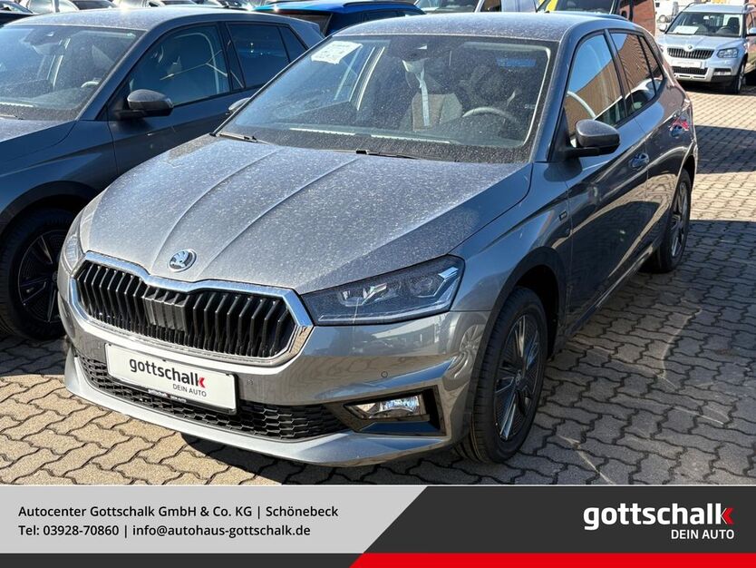 Skoda Fabia 2.578 km 21.990 € Schönebeck 39218