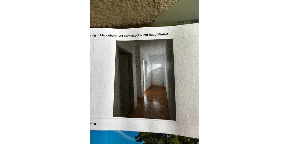 Etagenwohnung Magdeburg Alt Olvenstedt - 1 Zimmer, 42 m&sup2;, 499&euro; | Angebot:24245315