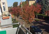 Wohnung zum Mieten in Magdeburg 380 € 63 m²