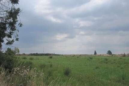 Grundstück zu verkaufen in Dodendorf 70.000 € 1000 m² zimmer