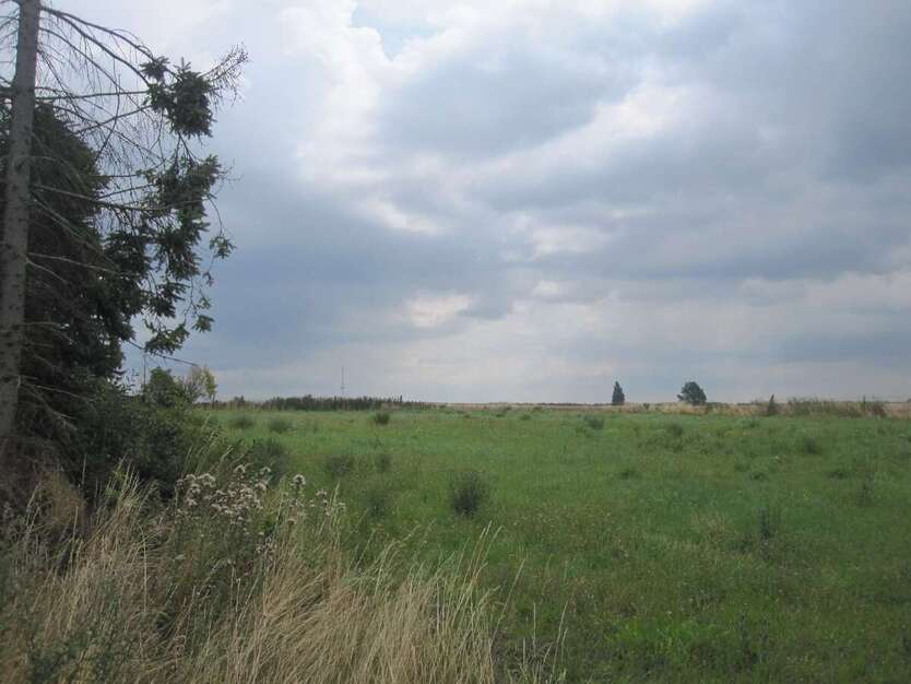 Grundstück zu verkaufen in Dodendorf 70.000 € 1000 m² zimmer