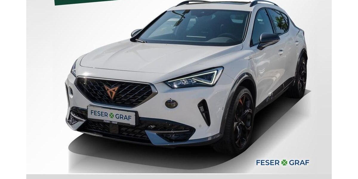 Cupra Formentor 41.390 km 27.980 &euro; Magdeburg 39118