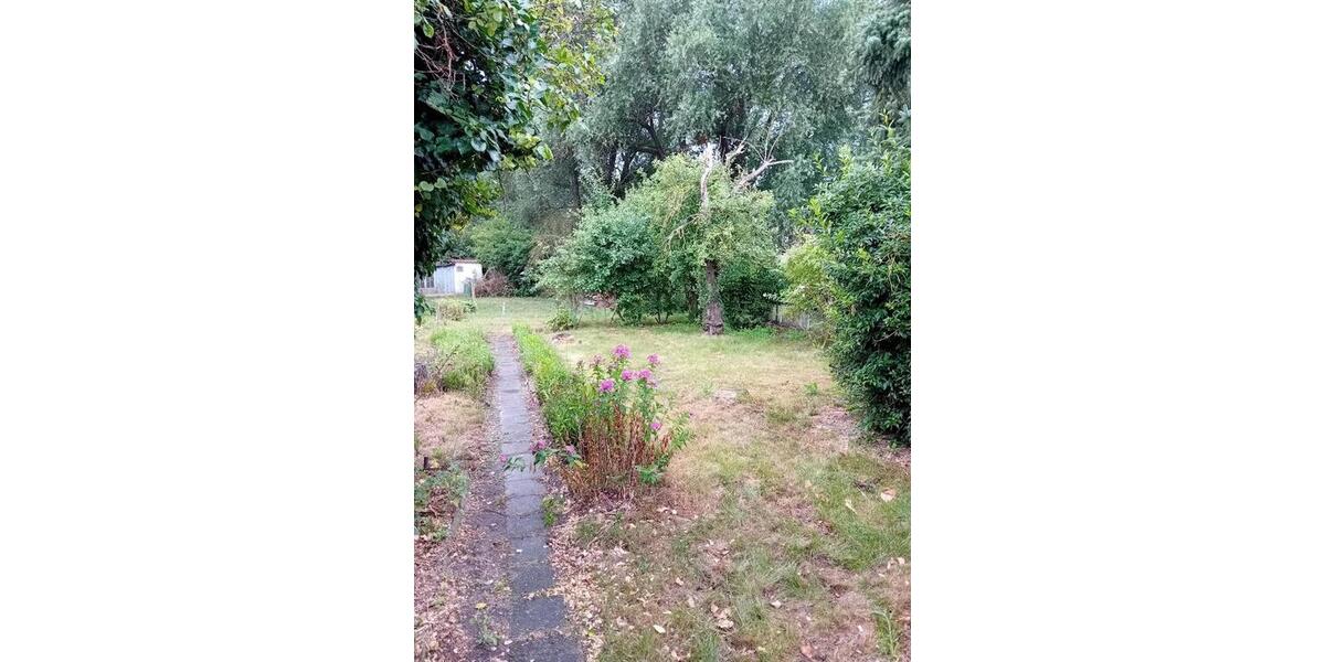 Einfamilienhaus Möckern - 3 Zimmer, 100 m&sup2;, 75.000&euro; | Angebot:27027658