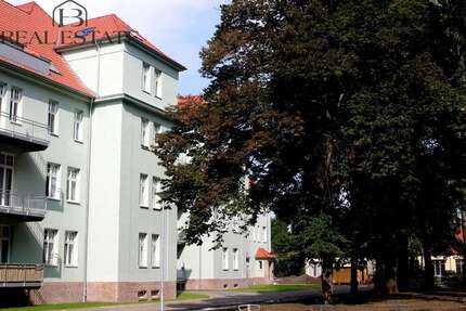 Wohnung Magdeburg Stadtfeld West - 1 Zimmer, 48 m&sup2;, 69.900&euro; | Angebot:25516807