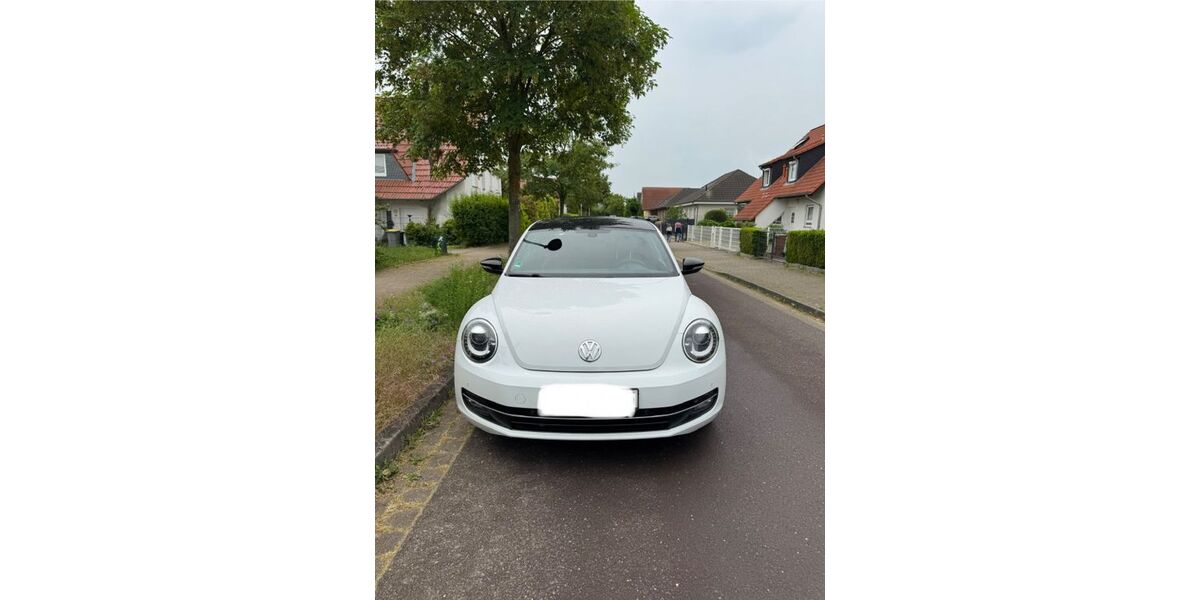 VW Beetle 114.549 km 10.500 &euro; Magdeburg 39116