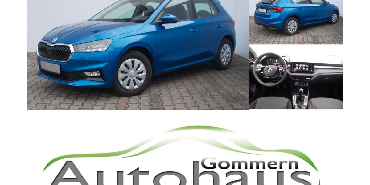 Skoda Fabia 11.387 km 18.950 &euro; Gommern 39245