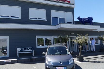 Renault Twingo 98.000 km 3.000 &euro; Magdeburg 39108