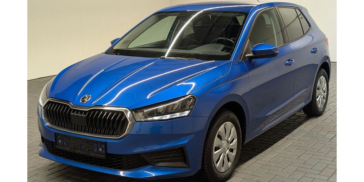 Skoda Fabia 23.750 km 16.980 &euro; Langenweddingen 39171