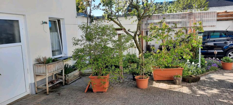 Einfamilienhaus Calbe (Saale) - 5 Zimmer, 152 m&sup2;, 140.000&euro; | Angebot:26481889
