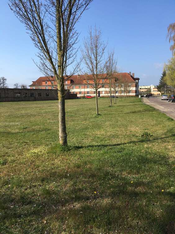 Grundstück zu verkaufen in Burg 800.000 € 4100 m² zimmer