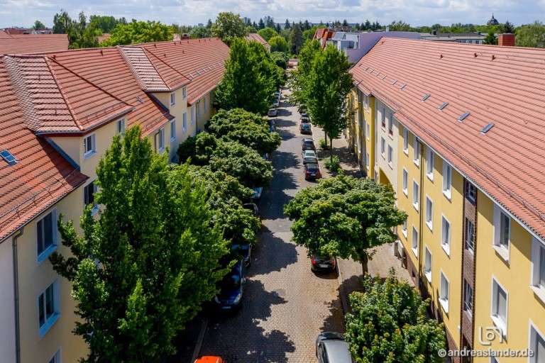 Wohnung zum Mieten in Magdeburg 337,50 € 45 m²