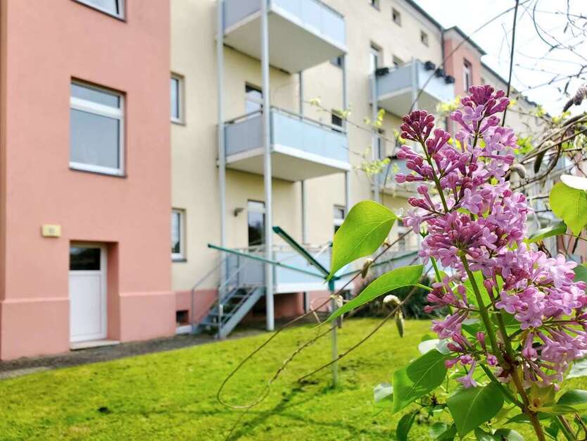 Wohnung zum Mieten in Magdeburg 418 € 47 m²