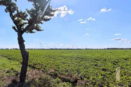 Grundstück Rottmersleben Rottmersleben - 106.125&euro; | Angebot:22400520