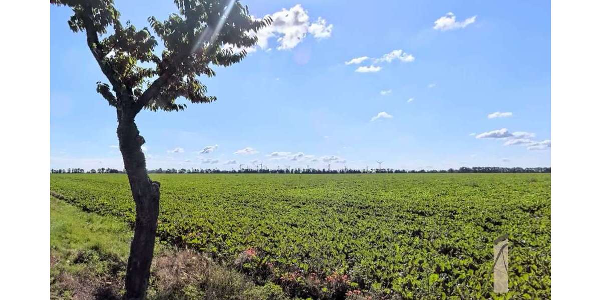 Grundstück zu verkaufen in Rottmersleben 106.125 € 849 m² zimmer