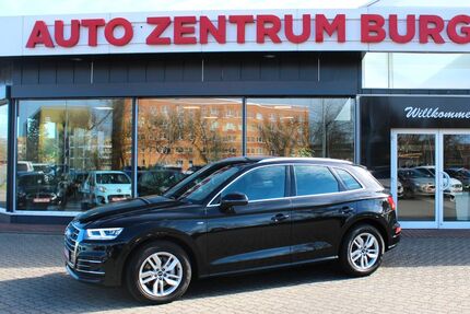 Audi Q5 119.812 km 31.200 &euro; Burg 39288