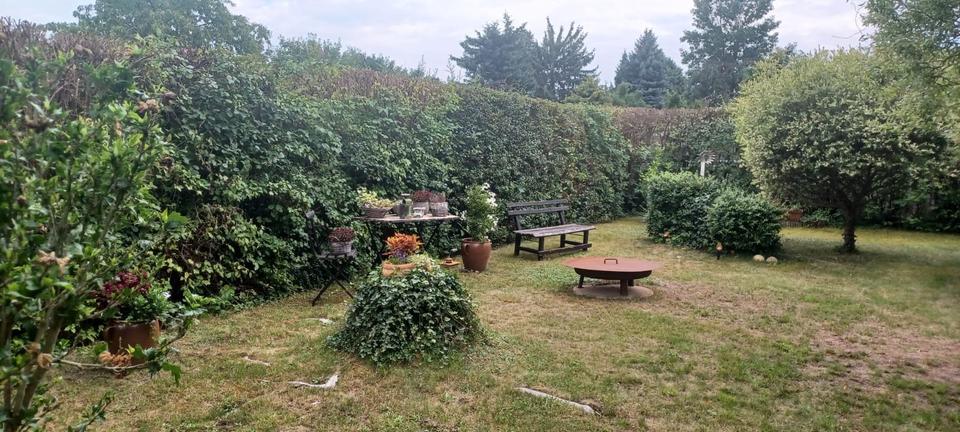 Bungalow Gommern - 2 Zimmer, 25 m&sup2;, 12.000&euro; | Angebot:25942521