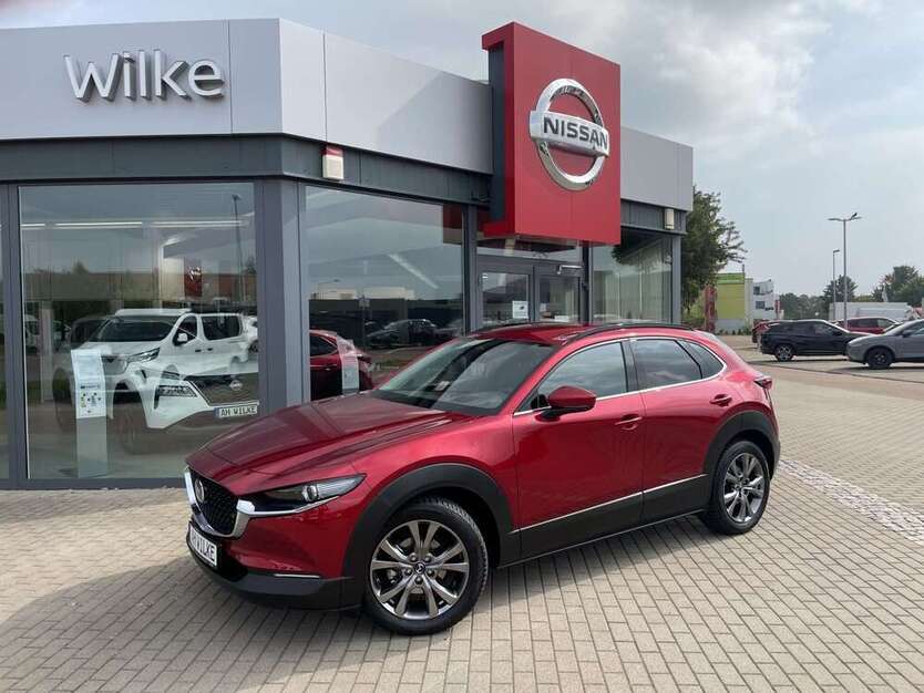 CX-30