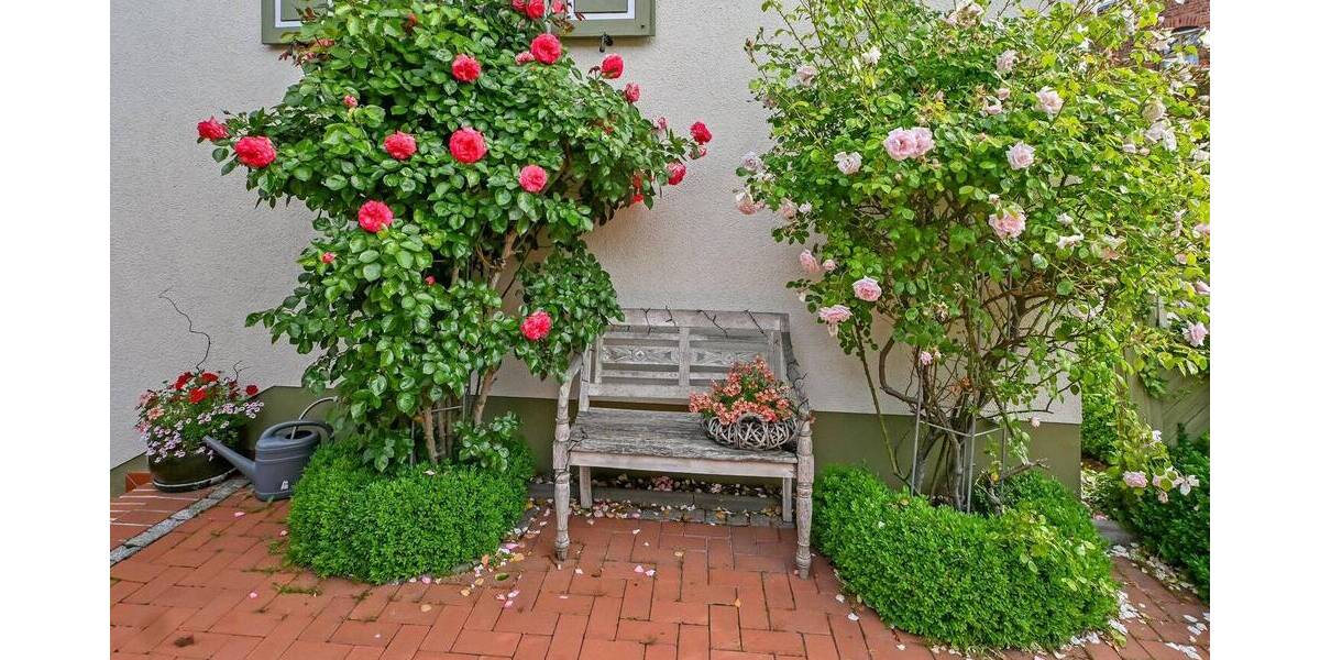 Einfamilienhaus Erxleben - 5 Zimmer, 125 m&sup2;, 269.000&euro; | Angebot:26868746
