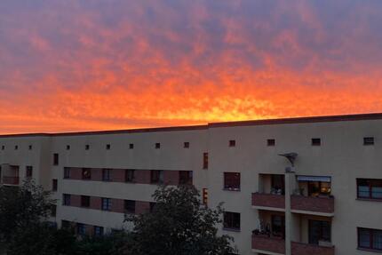 Wohnung Magdeburg Brückfeld - 2 Zimmer, 50 m&sup2;, 320&euro; | Angebot:24828104