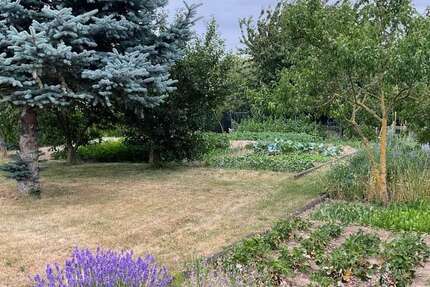 Grundstück zu verkaufen in Eichenbarleben 70.000 € 806 m² zimmer