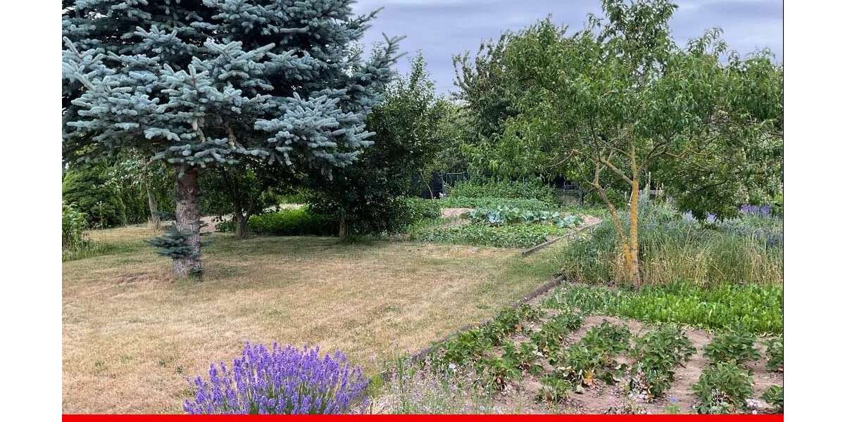 Grundstück zu verkaufen in Eichenbarleben 70.000 € 806 m² zimmer