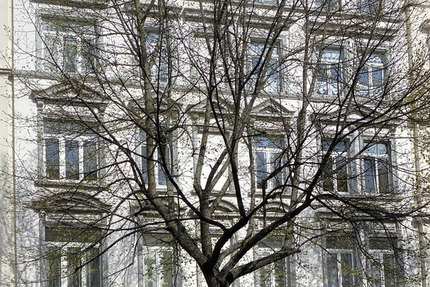 Wohnung zum Mieten in Magdeburg 370 € 58 m² 2 zimmer