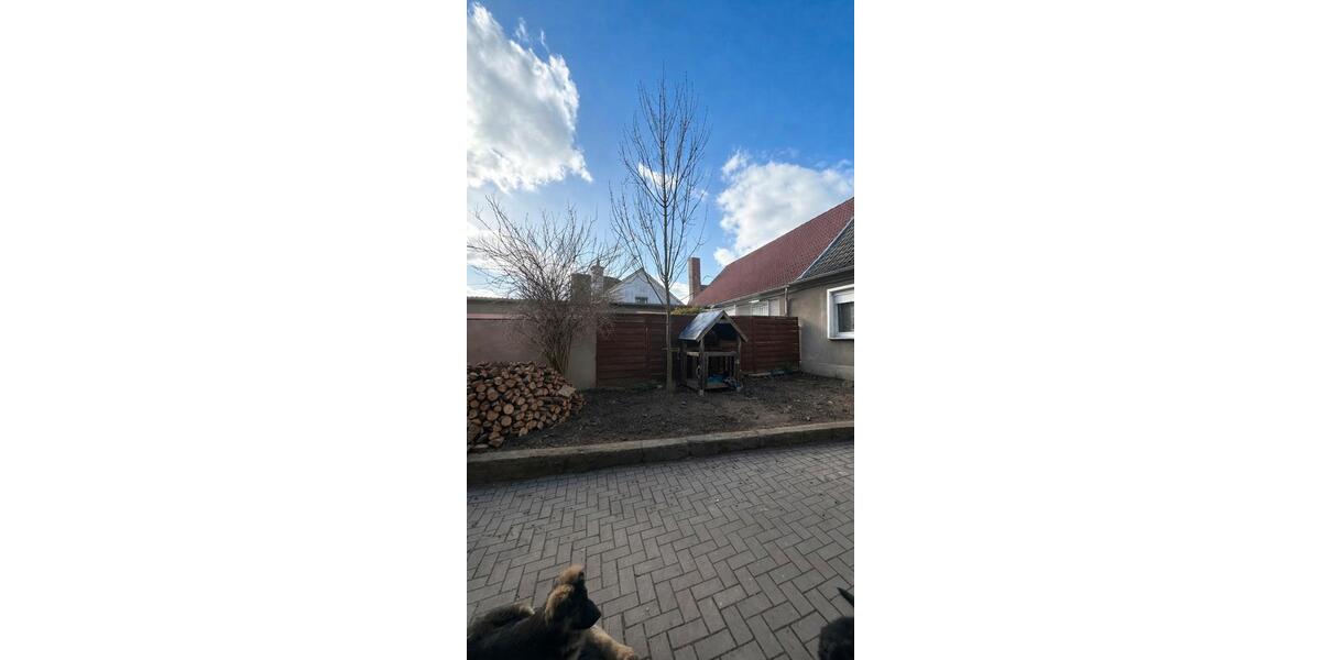 Doppelhaushälfte Erxleben - 6 Zimmer, 160 m&sup2;, 67.000&euro; | Angebot:25960763