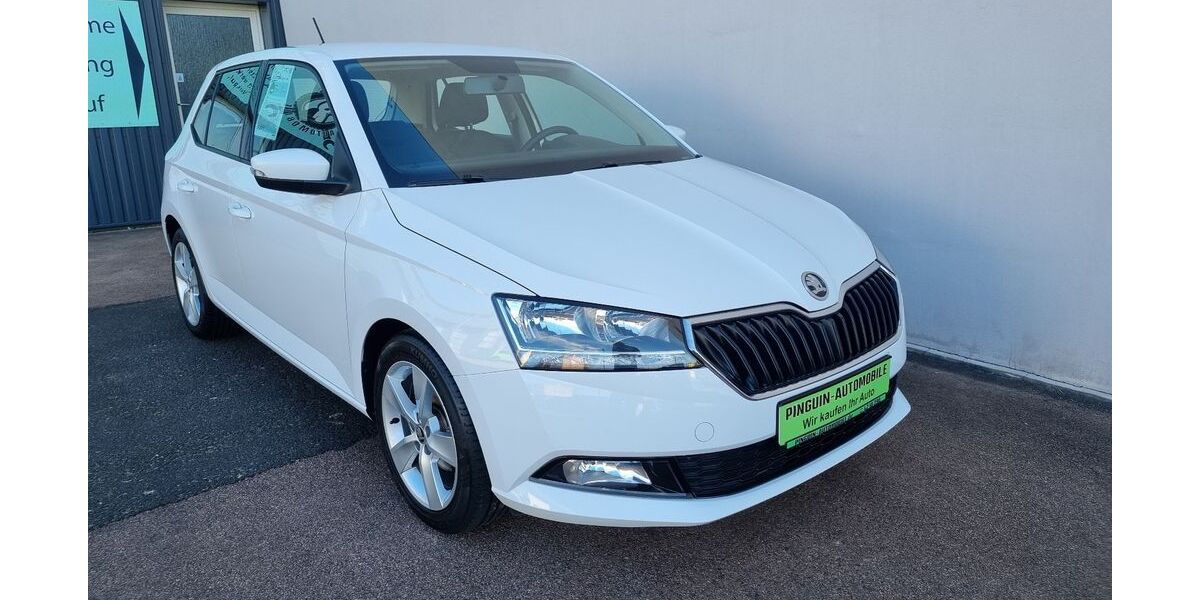 Skoda Fabia 31.461 km 12.950 &euro; Schönebeck 39218