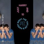 The On(c)e Direction Night