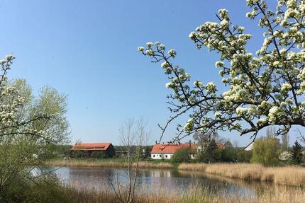 Wohnung Magdeburg Brückfeld - 2.5 Zimmer, 67 m&sup2;, 570&euro; | Angebot:25367636