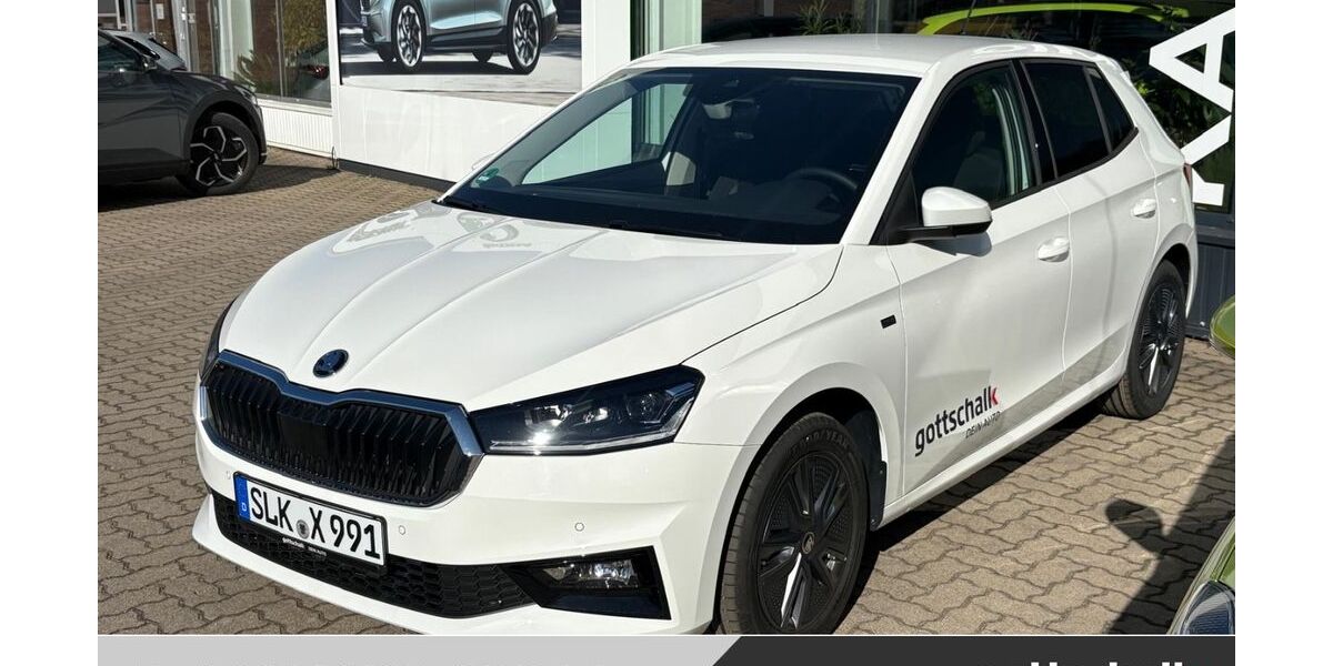 Skoda Fabia 5.000 km 19.990 &euro; Schönebeck 39218