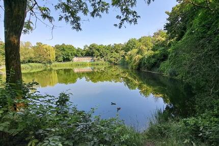 Viel Platz für die ganze Familie 4 zimmer