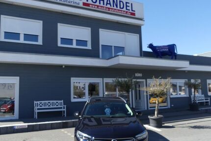 Opel Insignia 46.000 km 17.600 &euro; Magdeburg 39108